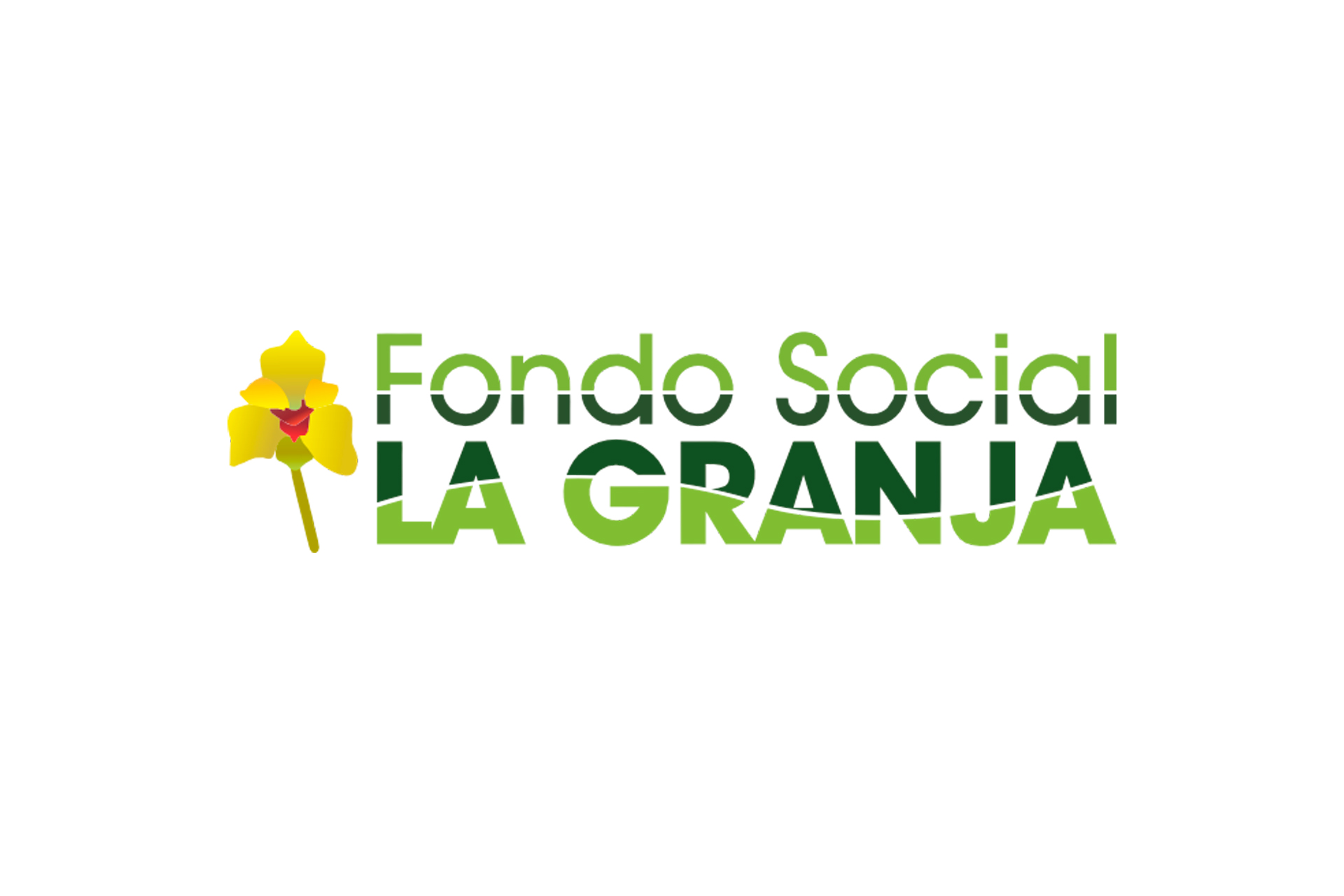 Imagen del cliente 06